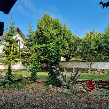 Megic Garden Bell Tent * Vama Veche