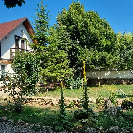 Campo de lujo Megic Garden Bell Tent