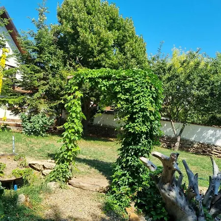 Megic Garden Bell Tent Campo de lujo Vama Veche